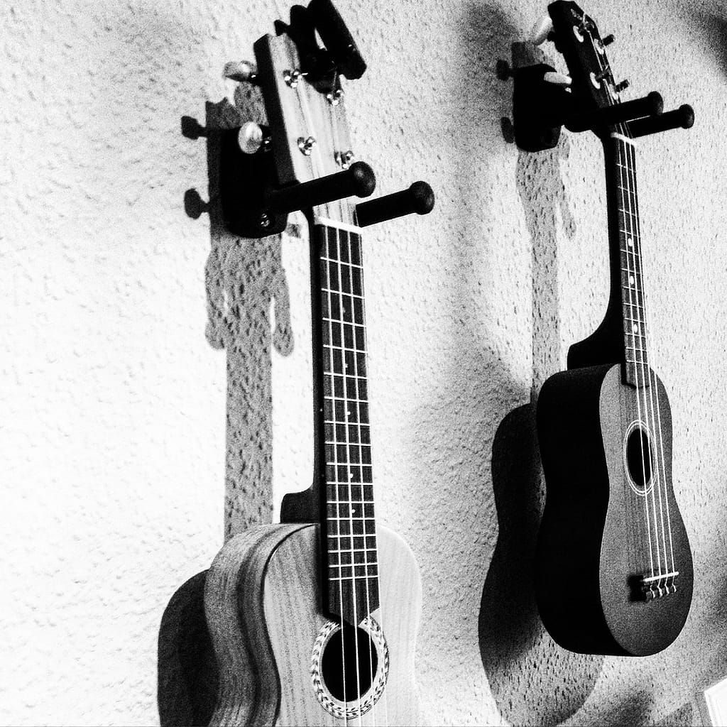 two ukuleles hanging on a wall
