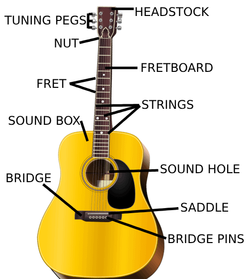 Parts of the Guitar
